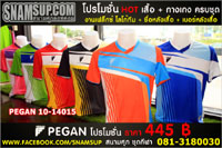 PEGAN 10-13010 Promotion ราคา 445 บาท